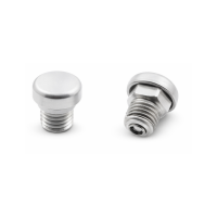 Entlüftungsventil mit Staub- und Spritzschutz M10x1,5 Stahl verzinkt 0,2bar Öffnungsdruck