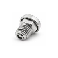 Entlüftungsventil mit Staub- und Spritzschutz M10x1,5 Stahl verzinkt 0,2bar Öffnungsdruck