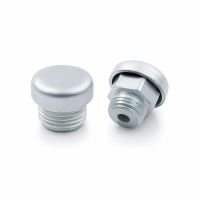 Entlüftungsventil mit Staub- und Spritzschutz...